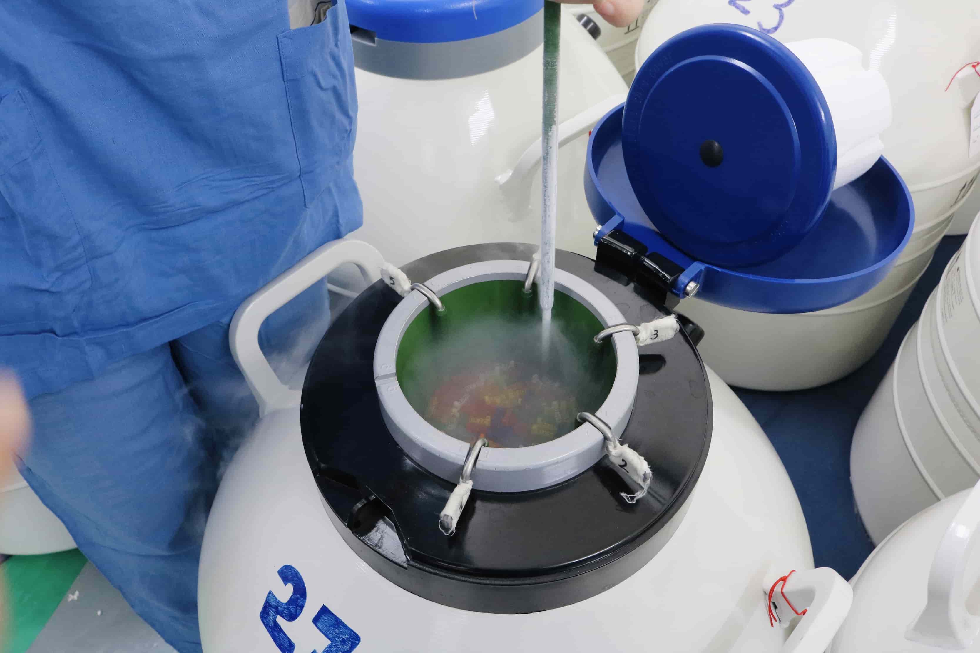 Bên trong phòng đông lạnh trứng cho chị em. Ảnh: Hà Quyên