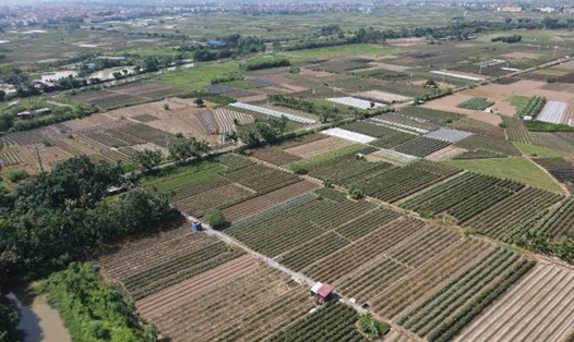 UBND huyện Mê Linh (Hà Nội) sẽ tổ chức đấu giá lần 3 đối với 19 lô đất tại thôn Chu Trần. Ảnh minh họa: UBND huyện Mê Linh 