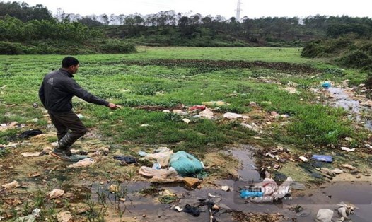 Khu vực đồng ruộng vốn tươi tốt màu lúa nay chìm trong rác và nước thải bãi rác. Ảnh: Việt Bắc