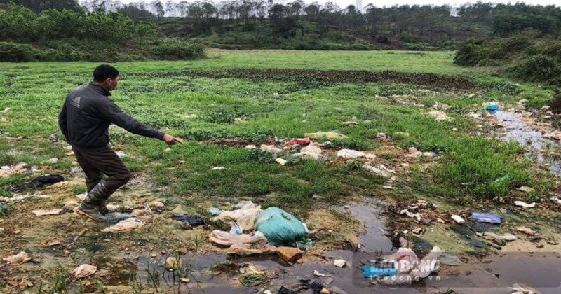 Ruộng bị bỏ hoang vì chìm trong nước thải bãi rác