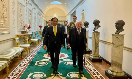 Bộ trưởng Bộ Ngoại giao Bùi Thanh Sơn hội kiến Tổng thống Ireland Michael D.Higgins. Ảnh: Bộ Ngoại giao
