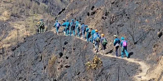 Nhiều điểm yếu trong việc kiểm soát người ra vào sau vụ cháy rừng Hoàng Liên