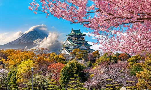 Lâu đài Osaka là một trong những di tích lịch sử quan trọng của Nhật Bản. Ảnh: Vietravel