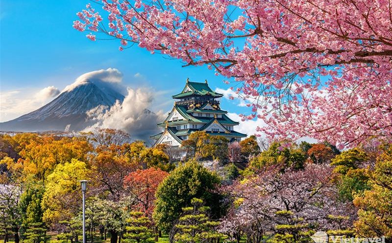 Lâu đài Osaka là một trong những di tích lịch sử quan trọng của Nhật Bản. Ảnh: Vietravel