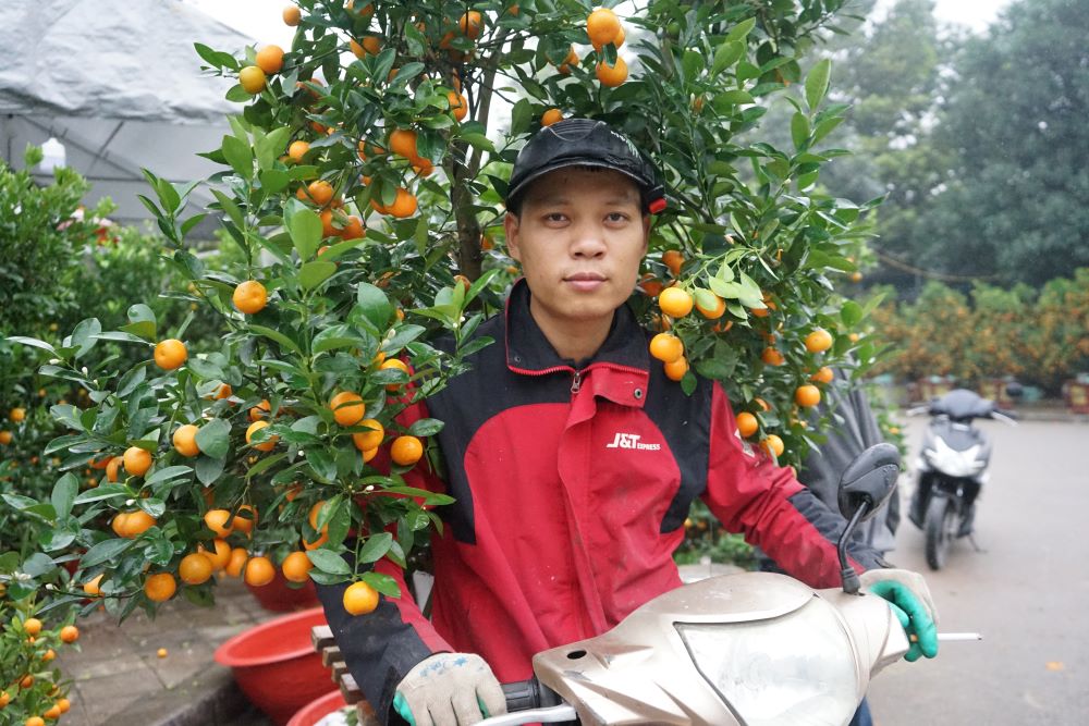 Anh Nguyễn Đình Trung (31 tuổi) phấn khởi khi có khách mua quất gọi chở thuê, kiếm thêm thu nhập. Ảnh: Quách Du