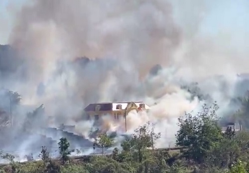 Vụ cháy tại hoa viên thuộc Khu hành chính Sùng Đức. Ảnh: Phan Tuấn 