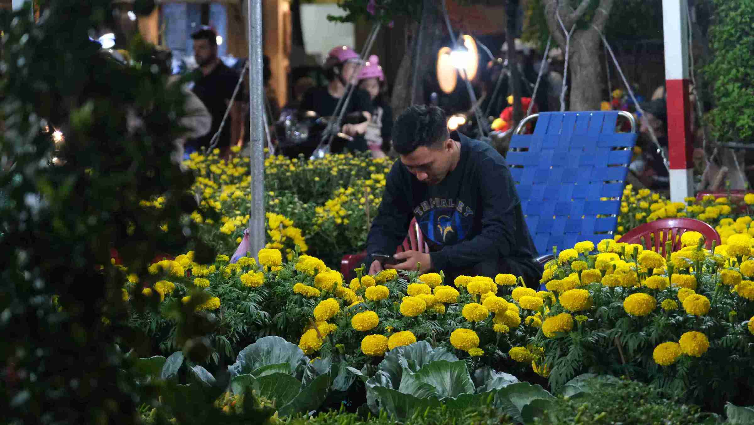 Việc bán hàng online giúp nhà vườn đỡ vất vả khi không phải ngồi chờ khách mua, giảm được chi phí thuê mặt bằng so với cách bán hàng truyền thống. Ảnh: Phong Linh.