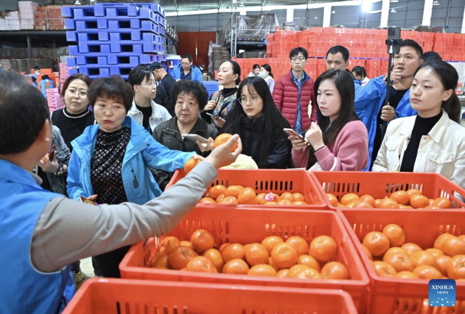 Một cơ sở bán quýt ở Nam Ninh, Trung Quốc. Ảnh: Xinhua