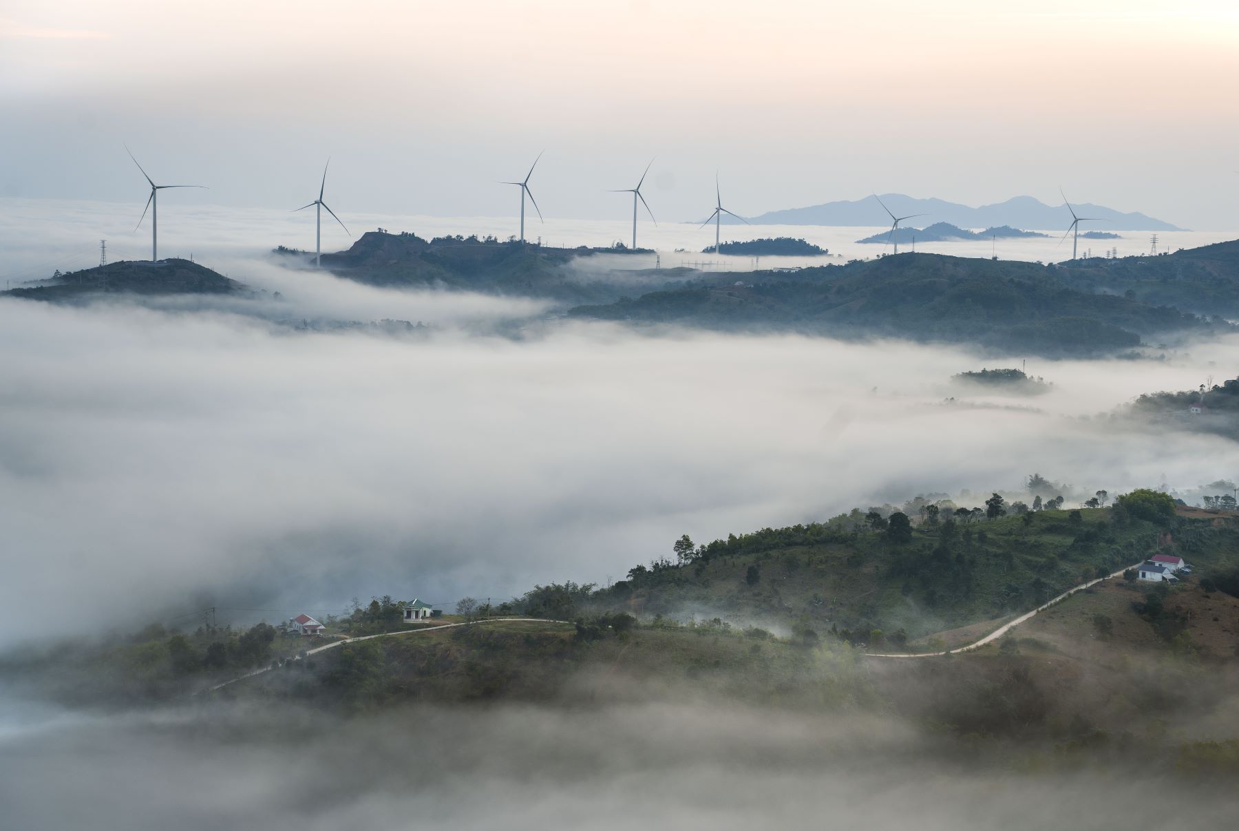 Biển mây vào sáng sớm khiến Nguyễn Thị Hải Lương và nhóm bạn thích thú. “Mây, cánh quạt điện gió và thiên nhiên quanh đây rất đẹp, thú vị” - Hải Lương, cho hay.