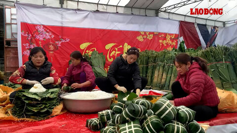 Làng bánh chưng nổi tiếng Hà Nội ngày cận Tết, mỗi ngày gói 1000 chiếc