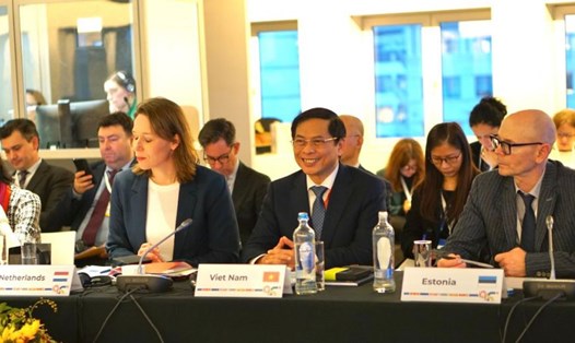 Bộ trưởng Bộ Ngoại giao Bùi Thanh Sơn dự Hội nghị Bộ trưởng Ngoại giao ASEAN - EU (AEMM) lần thứ 24. 
Ảnh: Bộ Ngoại giao