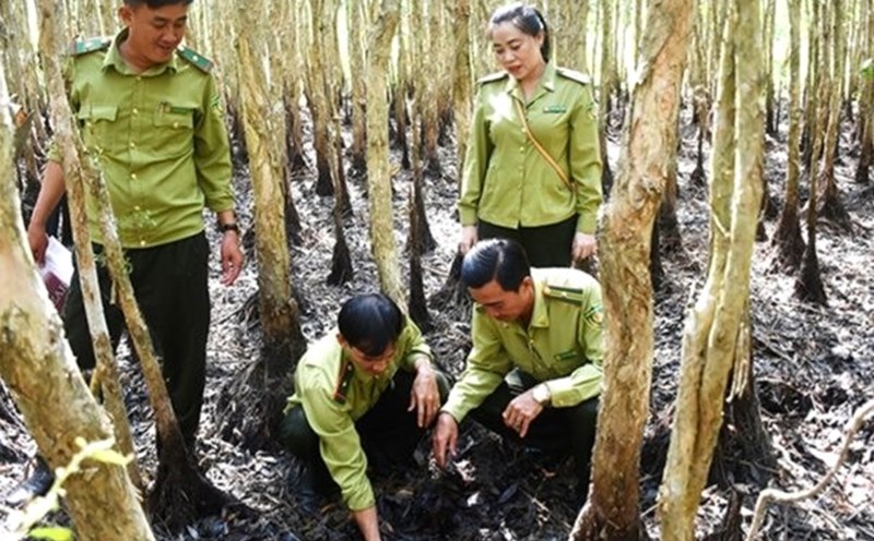 Nghịch lý lâm tặc manh động, lực lượng giữ rừng ở Đắk Nông ngày càng mỏng