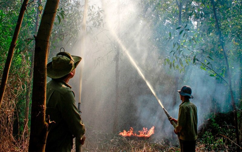Thường xuyên luyện tập, diễn tập công tác phòng cháy rừng tại tỉnh Cà Mau. Ảnh: Nhật Hồ