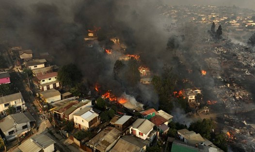 Cháy rừng ở thành phố Vina del Mar thuộc khu vực Las Pataguas, Chile, ngày 3.2.2024. Ảnh: AFP