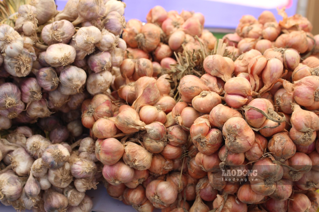 Đặc sản hành Kinh Môn, Hải Dương. Ảnh: Lê Tuyến