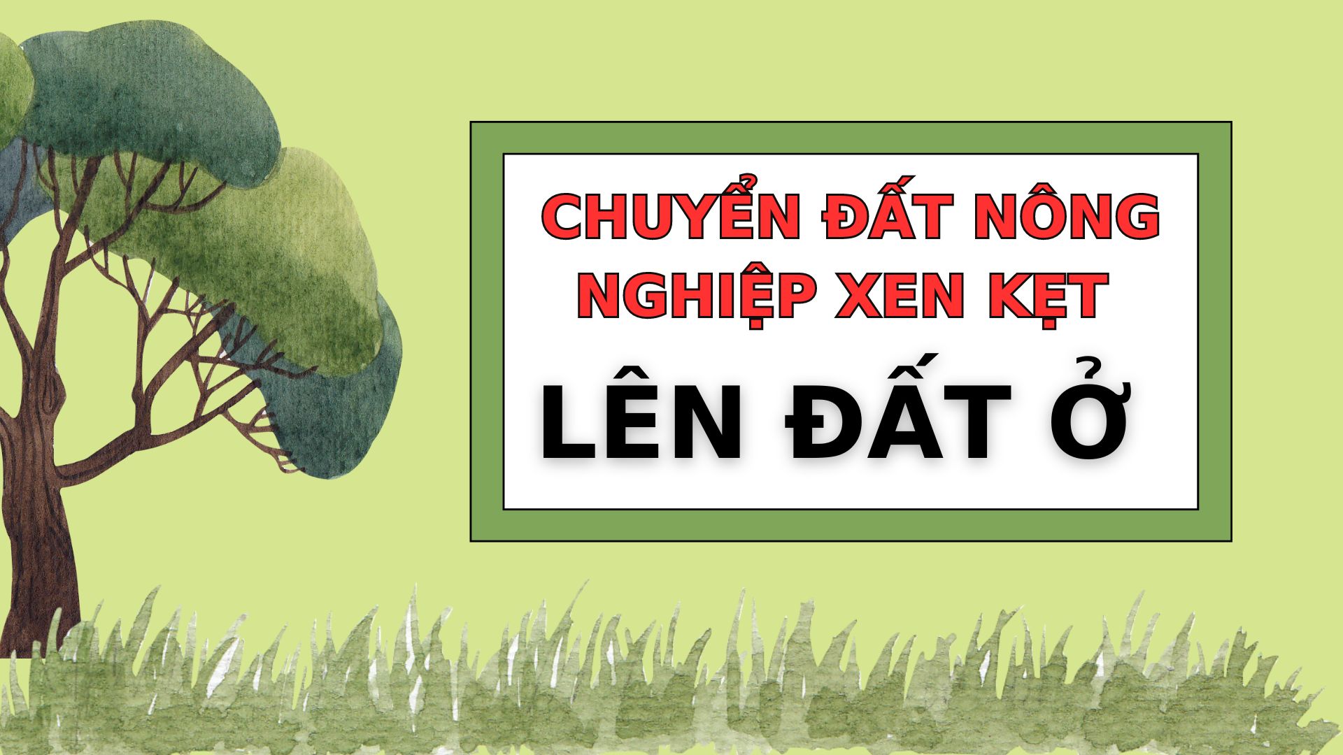 Đồ hoạ: Minh Quân