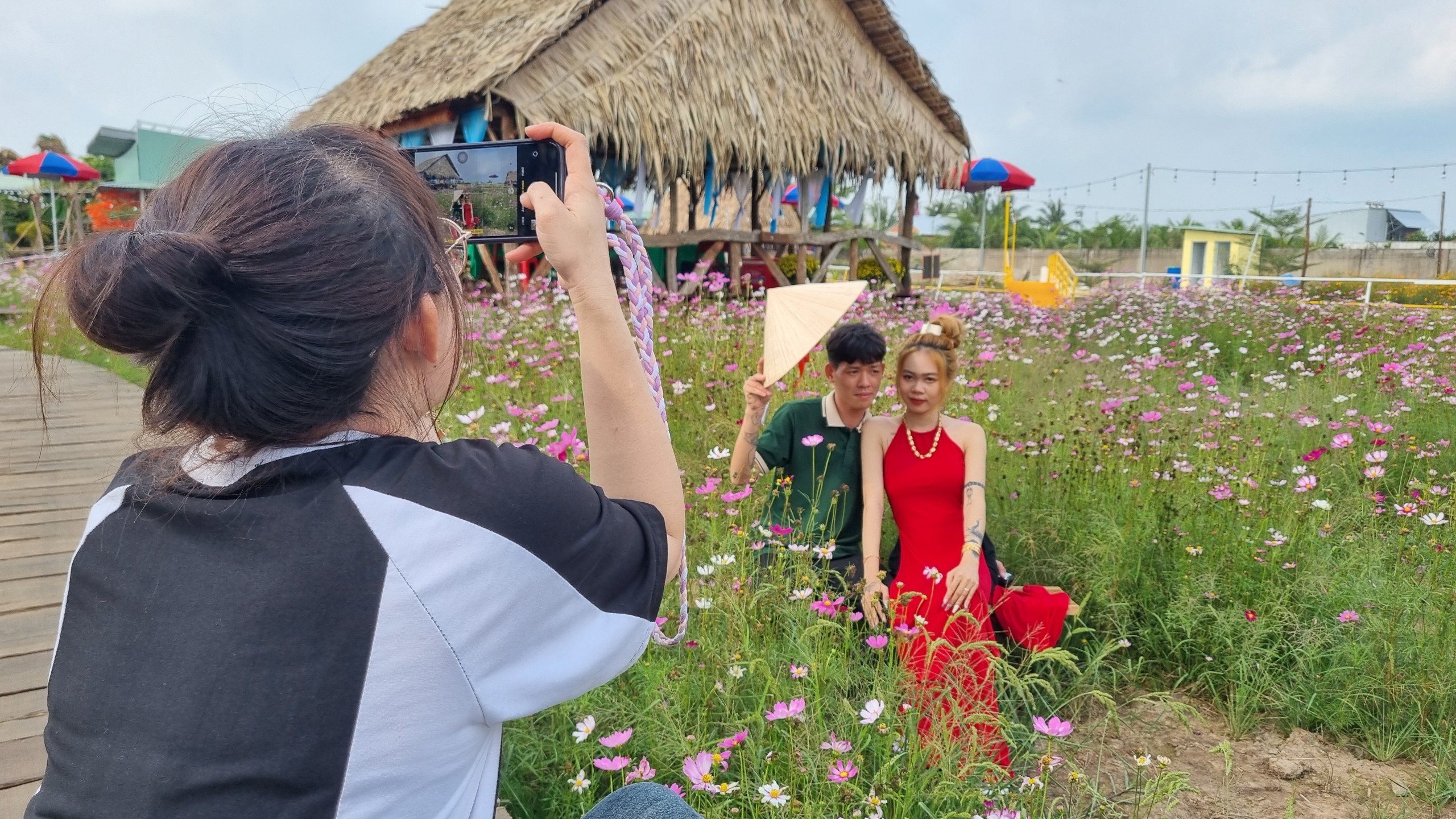Điểm check in trồng hoa mười giờ, hoa cánh 