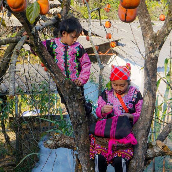 Người phụ nữ dân tộc Mông may quần áo trước ngày đón Tết. Ảnh: Minh Nguyễn