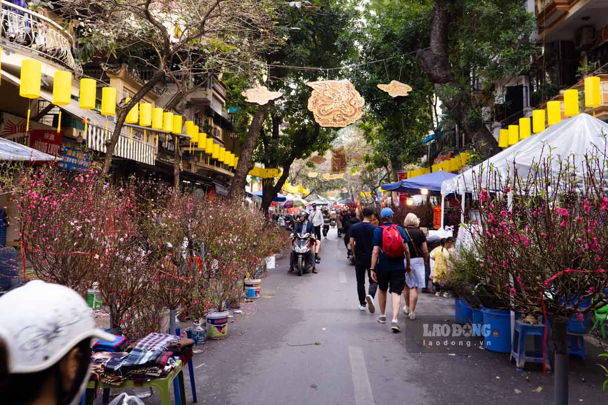 Ghi nhận của Báo Lao Động những ngày cận Tết, không khí mua bán tại khu vực chợ hoa Hàng Lược khá trầm lặng và vắng vẻ.