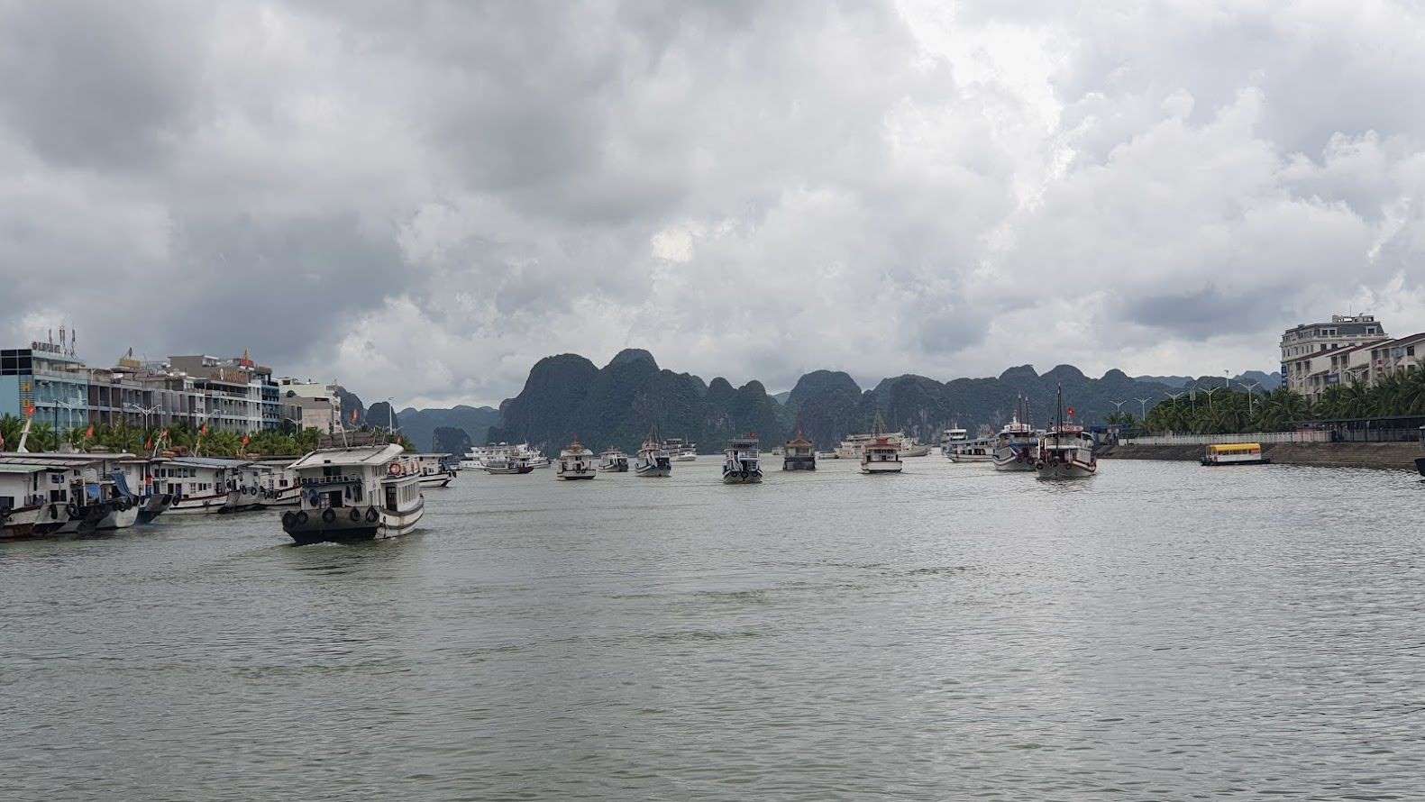 Đội tàu du lịch vịnh Hạ Long. Ảnh: Nguyễn Hùng