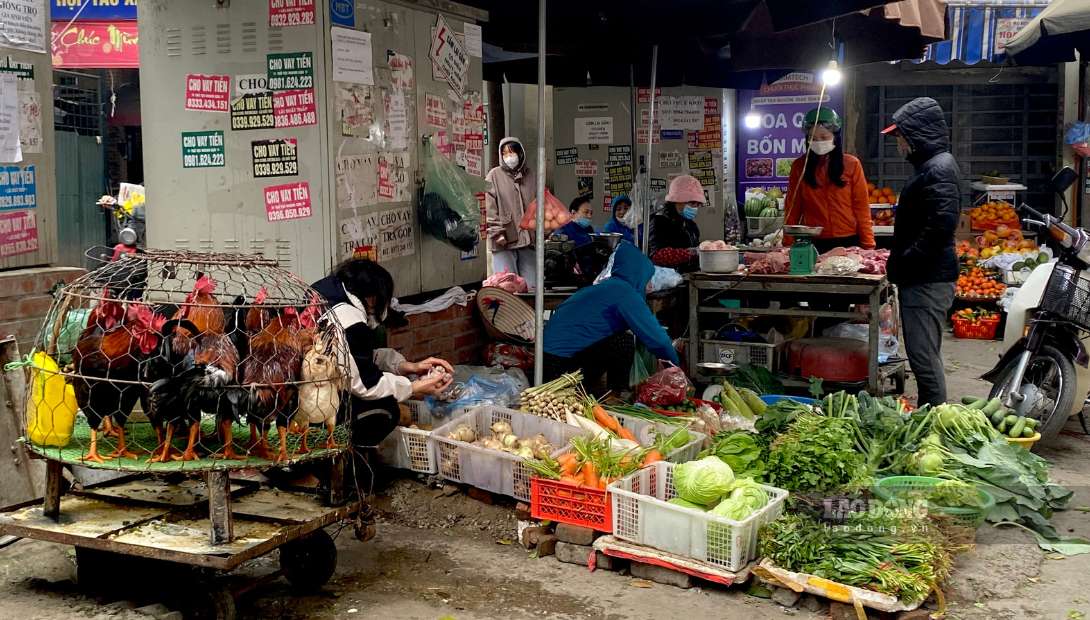 Mặt hàng thực phẩm rau thịt tại các chợ truyền thống chỉ tăng nhẹ. Ảnh: Tuyết Lan
