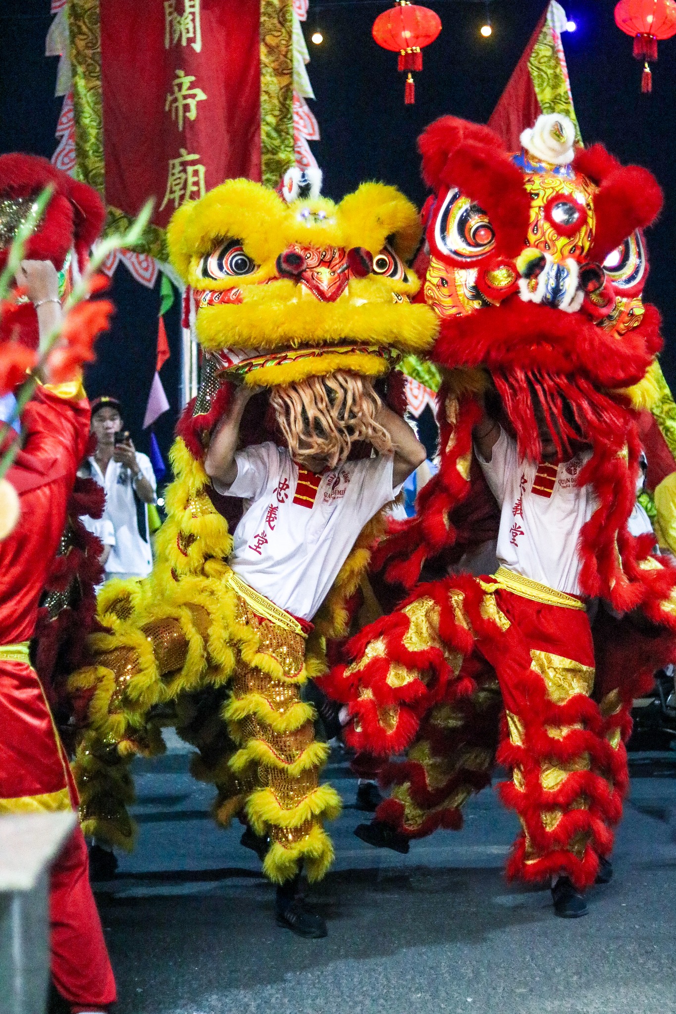 Múa lân sư rồng ngày Tết là một trong những nét văn hóa mang nhiều ý nghĩa tốt đẹp. Các đoàn múa không chỉ đem lại không khí vui nhộn cho các nẻo đường góc phố mà 3 con vật chính là lân, sư, rồng còn đại diện cho sự thịnh vượng, phát đạt, hạnh phúc và khỏe mạnh đến cho người dân.