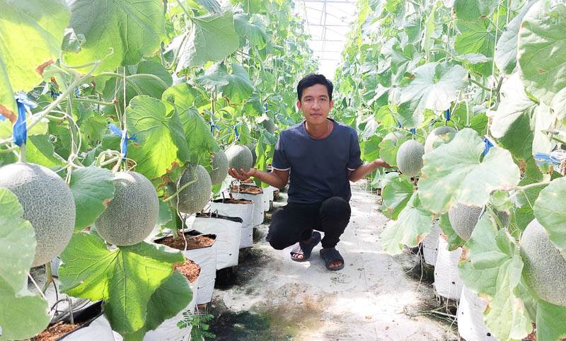 Anh Nguyễn Hoàng Duy (tỉnh Sóc Trăng) bên vườn dưa lưới cho thu nhập khoảng 800 triệu đồng/năm. Ảnh: Phương Anh