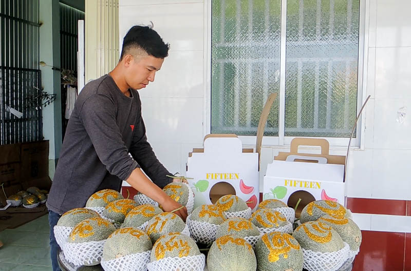 Anh Nguyễn Hoàng Duy (tỉnh Sóc Trăng) đang đóng thùng dưa lưới khắc chữ để giao cho khách hàng. Ảnh: Phương Anh