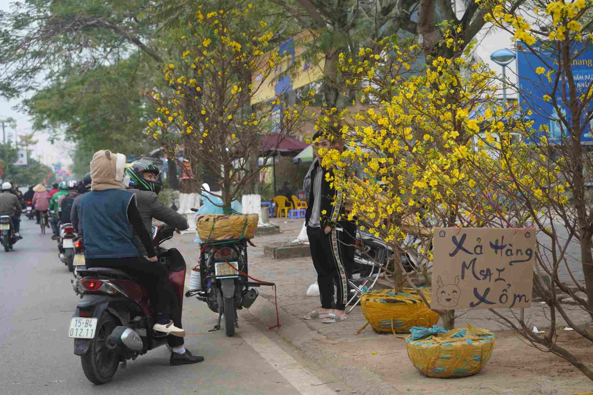 Một quầy mai vàng trên phố Lê Hồng Phong đã treo biển xả hàng. 
