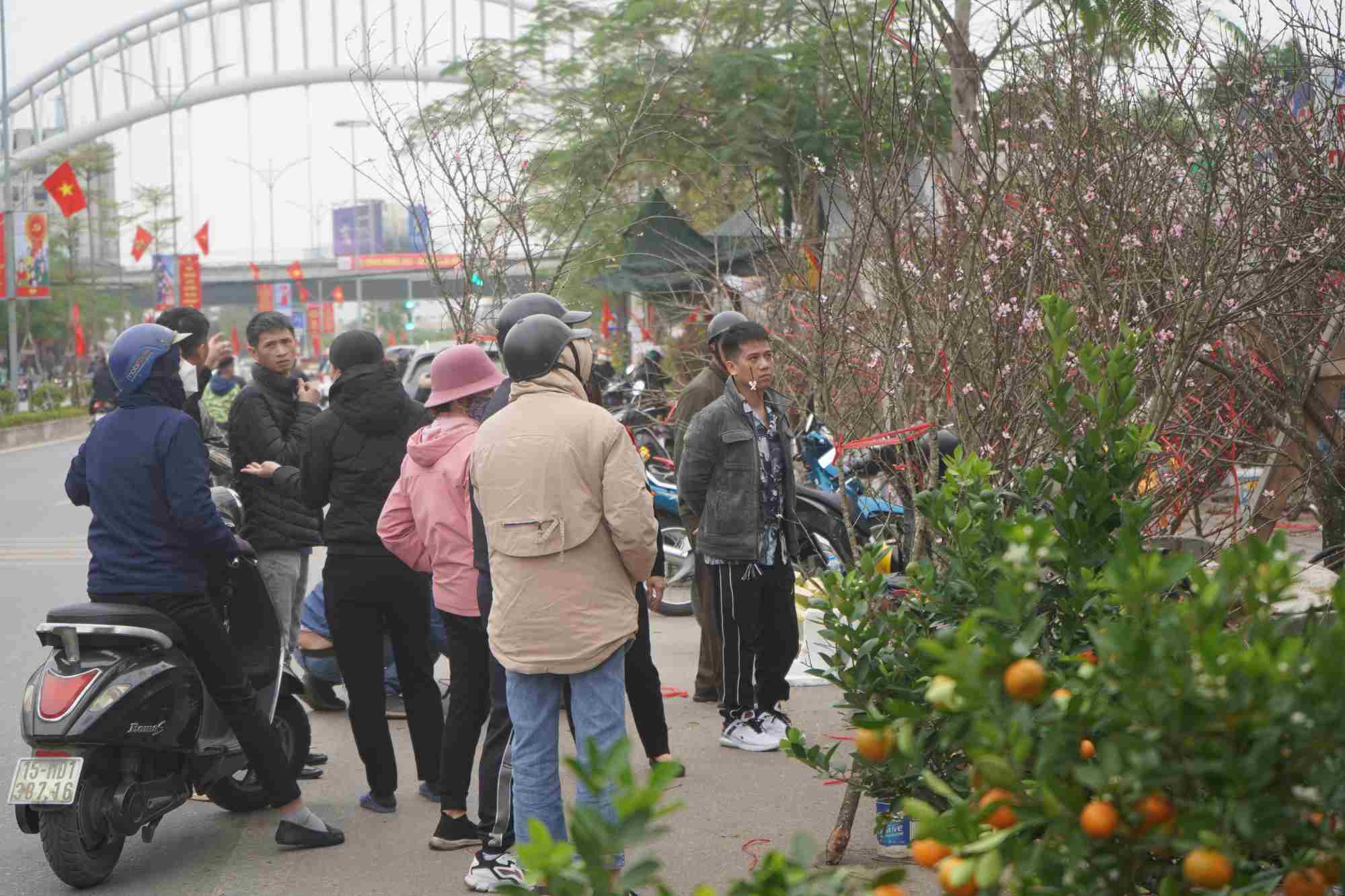 Ghi nhận của PV Lao Động, trưa ngày 7.2 (tức 28 Tết), chợ hoa Tết trên phố Hồ Sen đông đúc. Nhiều người tranh thủ buổi trưa tìm mua những chậu đào, quất trưng dịp Tết. 
