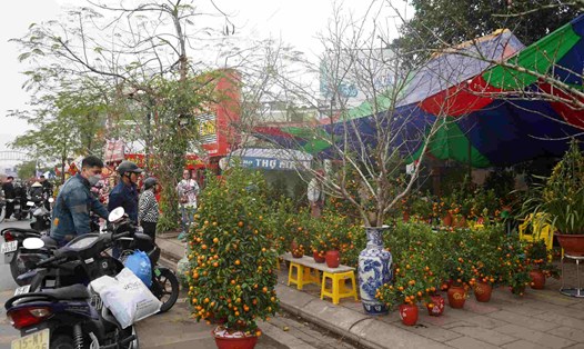 Chợ hoa Tết trên phố Hồ Sen (Quận Lê Chân, Hải Phòng) trong ngày 28 Tết. Ảnh: Mai Dung