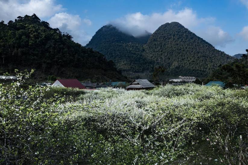  Cảnh đẹp Mường Lống, Kỳ Sơn. Ảnh HẢI ĐĂNG