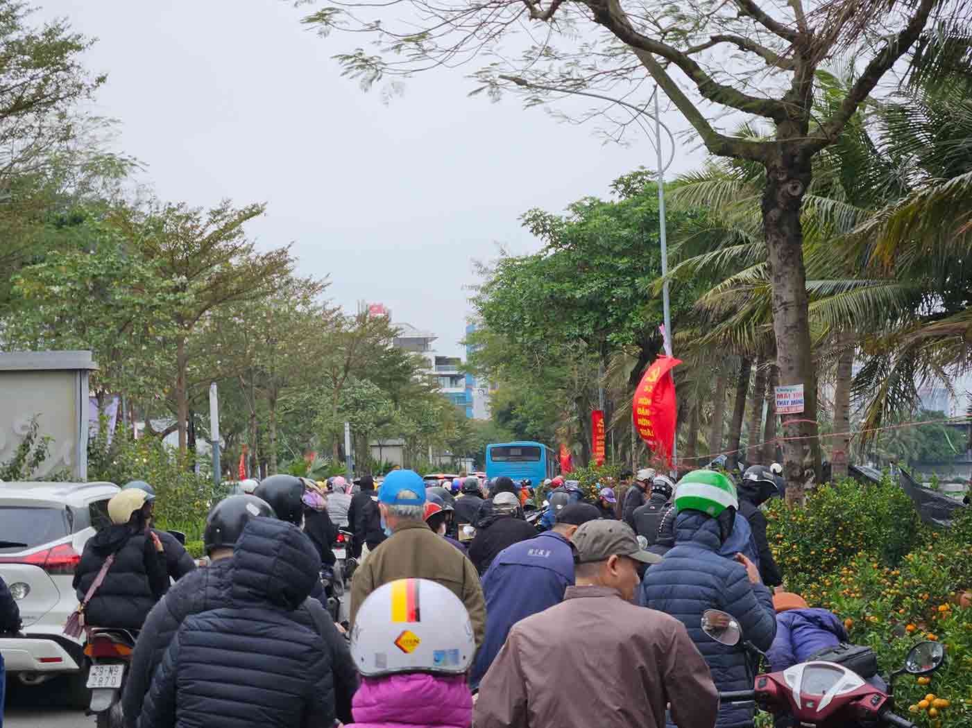 Ngày 29 Tết, con phố Lạc Long Quân (Tây Hồ, Hà Nội) chật kín người qua lại mua đào, quất,...lượng người mua tấp nập, đường phố đôi lúc tắc cứng, xe ô tô khó di chuyển. 