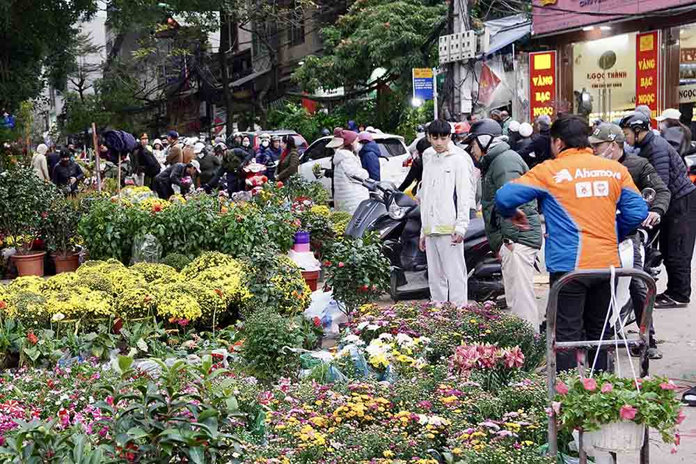 Các loại cây hoa cỡ nhỏ được bán nhiều nhất tại khu vực gần chợ Bưởi, đây là trung tâm sắc màu của chợ hoa đường Lạc Long Quân.