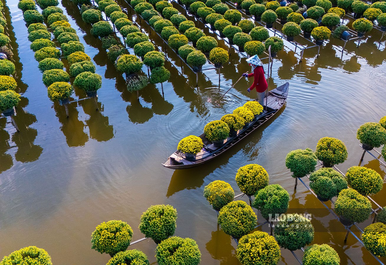 Người dân Sa Đéc đi ghe nhỏ chuẩn bị hoa bán dịp Tết Giáp Thìn. 