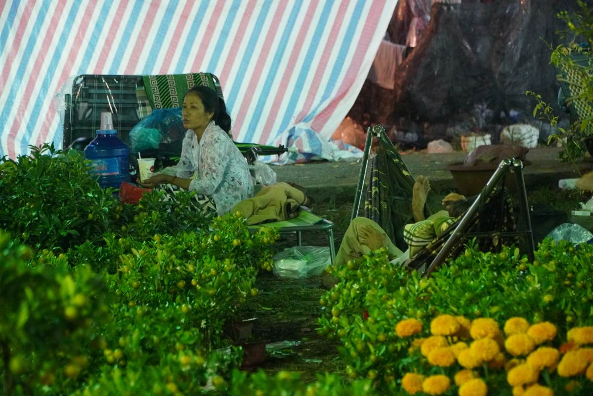 Từ khoảng 23h, tại các điểm bán hoa Tết ở TPHCM, khi khách bắt đầu vơi dần thì hình ảnh những chiếc võng, lều tạm,... sẽ được dựng lên.