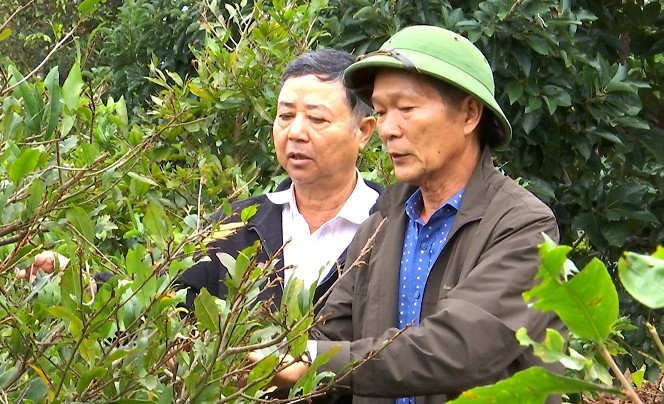 Ông Bùi Quốc Việt hướng dẫn cho người dân cách thức canh tác cây trồng và cho vay vốn phát triển kinh tế không lấy lãi. Ảnh: Bảo Trung 