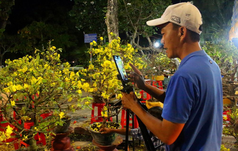 Anh Tô Thanh Thức đang thực hiện việc bán mai trên mạng xã hội dù đang thuê mặt bằng tại chợ hoa Xuân TP Long Xuyên. Ảnh: Lục Tùng