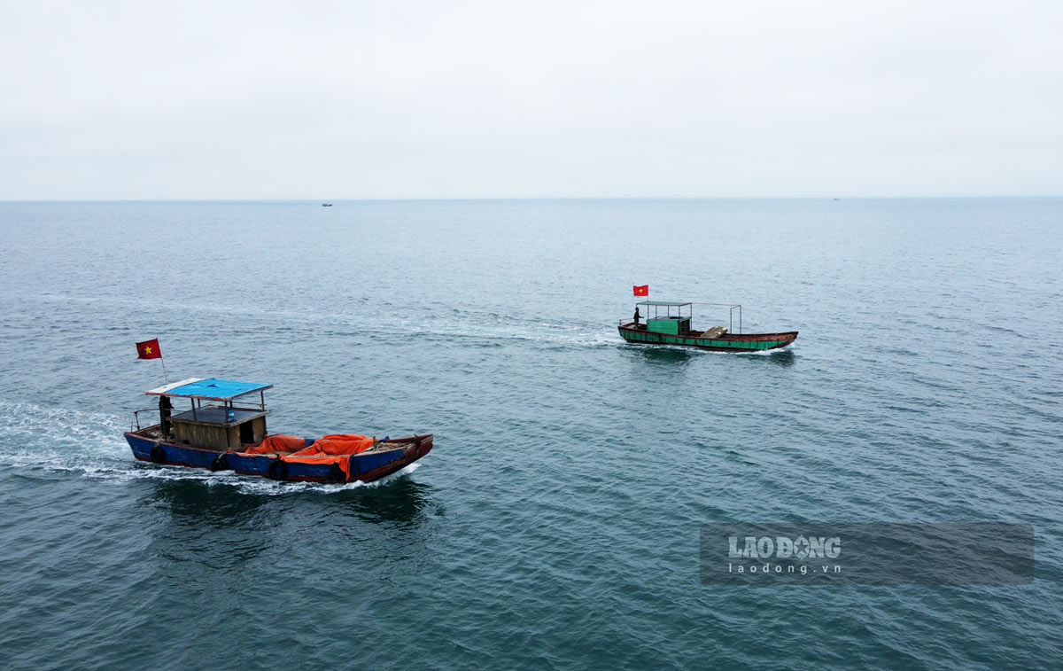 những chiếc thuyền giương cao lá cờ Tổ quốc nối đuôi nhau vươn khơi bám biển. Và có lẽ, trong nhiều hành trình của mình, những lão ngư của huyện đảo Cô Tô sẽ lại may mắn khi được gặp lại người bạn biển khơi thú vị. Để rồi trong câu chuyện của họ, niềm vui về những cuộc gặp gỡ hữu duyên tuy ngắn ngủi nhưng để lại ấn tượng khó phai đó sẽ còn được nhắc đến mãi về sau. Ảnh: Đoàn Hưng