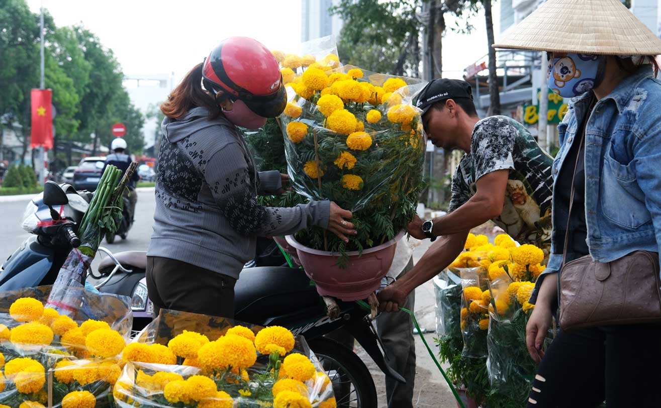 Bán hoa kiểng trên đường Trần Văn Hoài (quận Ninh Kiều, TP Cần Thơ), anh Phạm Quang Vinh cho biết, do năm nay thất thu nên số lượng hoa trồng phục vụ dịp Tết cũng không nhiều. Theo đó, lúc mới mở bán, trung bình mỗi cặp có giá 400.000 đồng và đến thời điểm hiện tại chỉ còn 100.000 - 120.000 đồng/cặp.