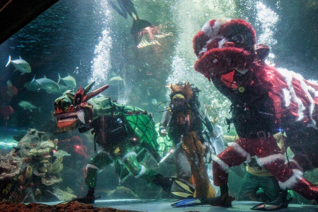 Thợ lặn biểu diễn múa rồng và múa lân trong thủy cung để chào mừng Tết Nguyên đán tại Sea World Ancol ở Jakarta, Indonesia ngày 8.2.2024. Ảnh: AFP