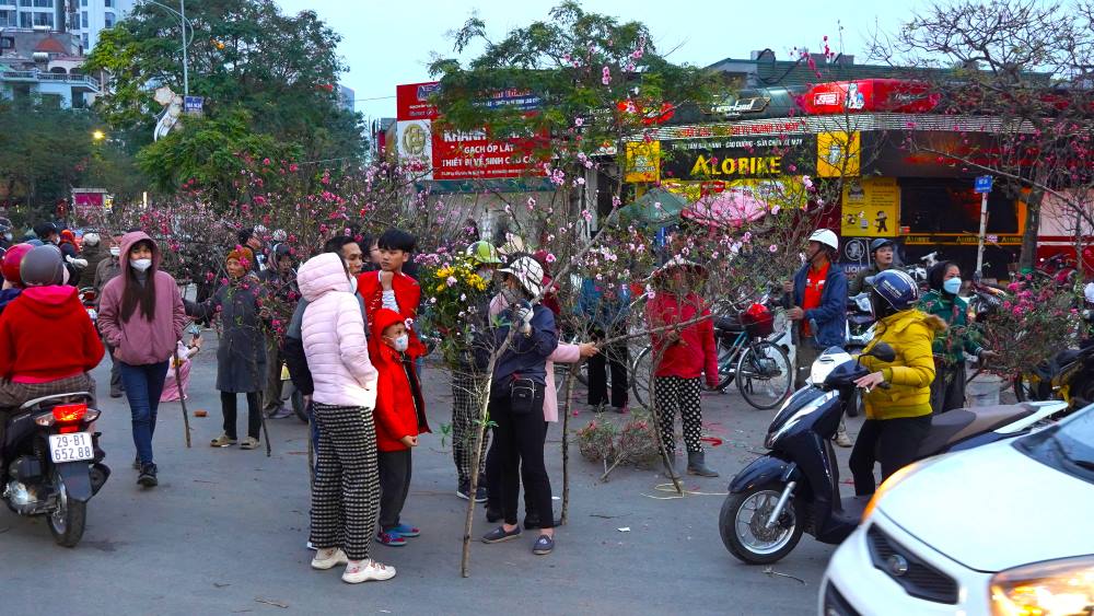 Chiều muộn 30 Tết, ghi nhận của phóng viên Báo Lao Động tại dọc đường Lạc Long Quân (quận Tây Hồ, TP Hà Nội) vẫn tấp nập người mua kẻ bán cây cảnh.