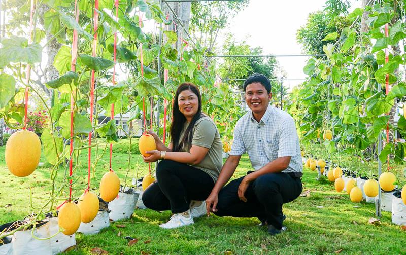 Không chỉ trang trí hoa, cây kiểng bên trong trụ sở UBND tỉnh Sóc Trăng còn thiết kế cả một cung đường dưa lưới vàng, thu hút nhiều người đến tham quan, chụp ảnh.