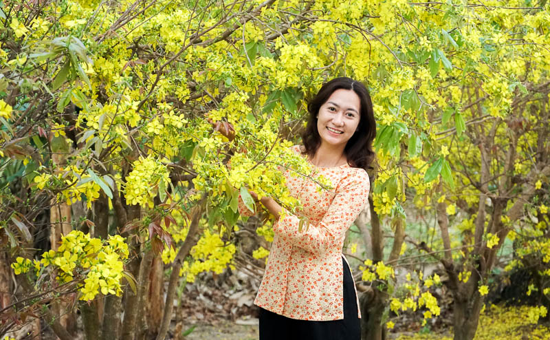 Nếu như ngày Tết ở miền Bắc có hoa đào khoe sắc thì Xuân ở miền Tây lại có hoa vàng rực rỡ. Ảnh: Phương Anh