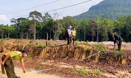 Vụ phá rừng phòng hộ Tây Giang, Quảng Nam bộc lộ nhiều bất cập trong công tác quản lý rừng. Ảnh: BQL rừng Tây Giang.
