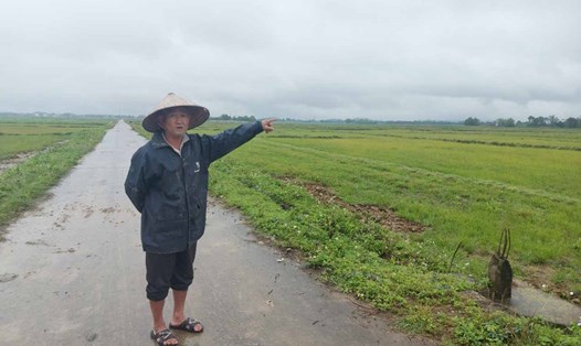 Ông Trung bên cánh đồng thôn Hòa Bình, xã Việt Tiến đã bị thu hồi để thực hiện Dự án Khu Công nghiệp Bắc Thạch Hà. Ảnh: Trần Tuấn
