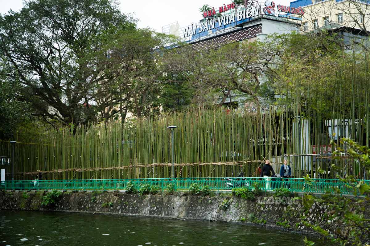 “Khu rừng” trúc là một trong những công trình độc đáo và tiên phong trong công tác cải tạo các vườn hoa, công viên tại trung tâm thành phố.