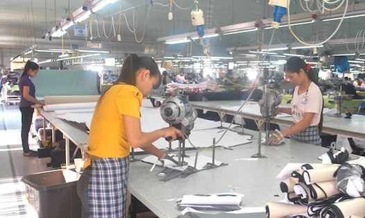 Công nhân lao động tỉnh Nam Định. Ảnh: CĐNĐ