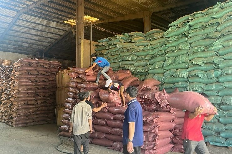 Chất lượng mỗi bao cà phê xuất khẩu ở Đắk Lắk là không phải bàn cãi. Ảnh: Bảo Trung