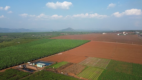 Tranh chấp đất đai tại Tây Nguyên chủ yếu là đất có nguồn gốc từ nông, lâm trường. Ảnh: Thanh Tuấn 